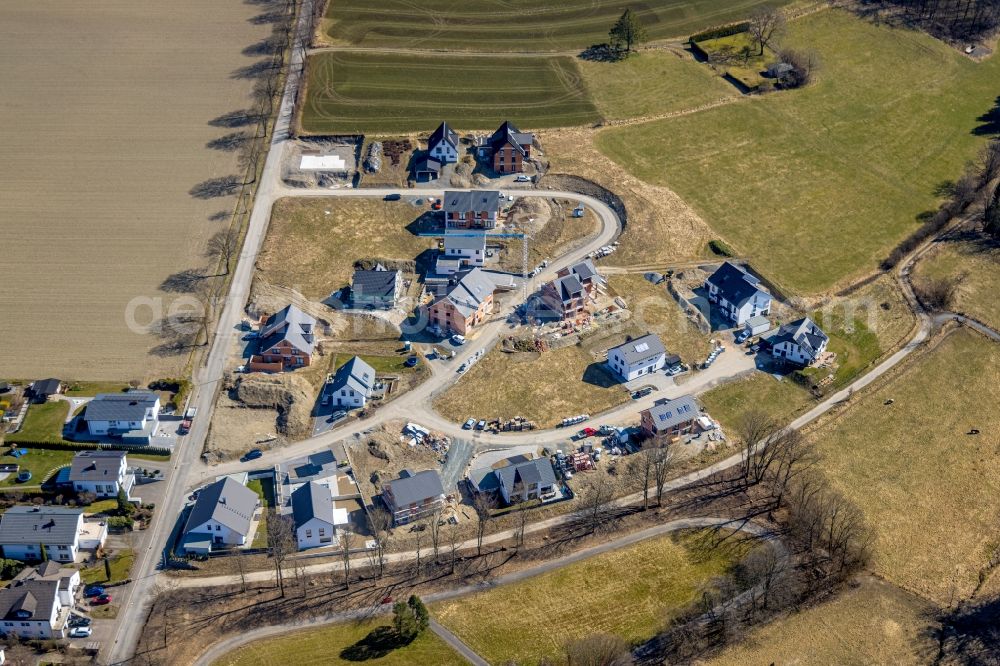 Bergdorf LiebesGrün from the bird's eye view: Single-family residential area of settlement in Bergdorf LiebesGruen in the state North Rhine-Westphalia, Germany