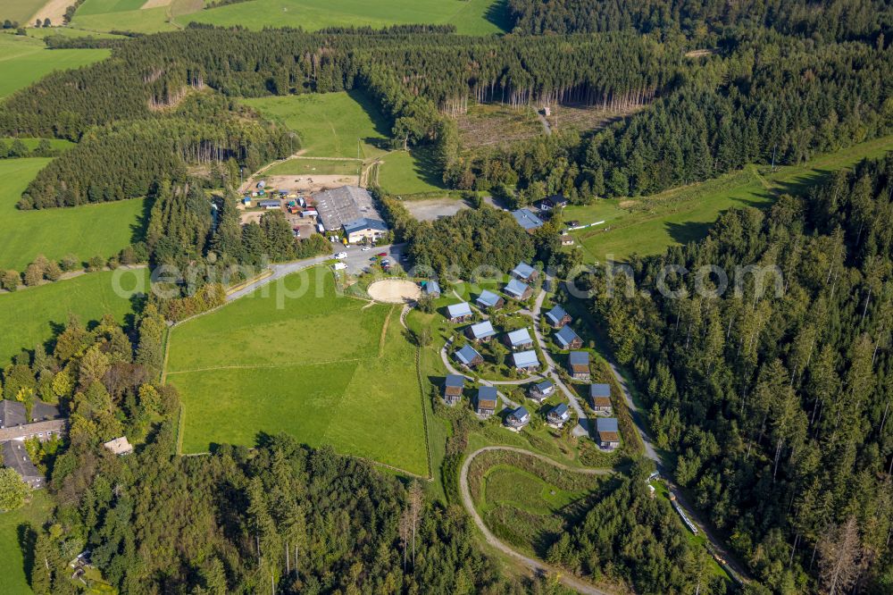 Bergdorf LiebesGrün from the bird's eye view: Single-family residential area of settlement in Bergdorf LiebesGruen in the state North Rhine-Westphalia, Germany