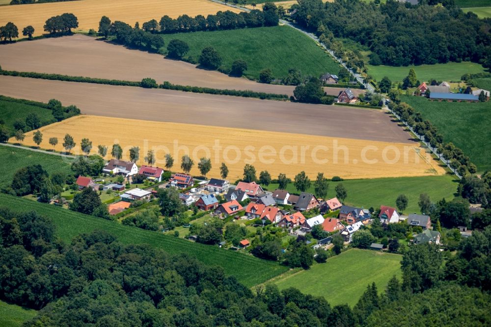 Albersloh from above - Single-family residential area of settlement along the Backhausstrasse in Albersloh in the state North Rhine-Westphalia, Germany