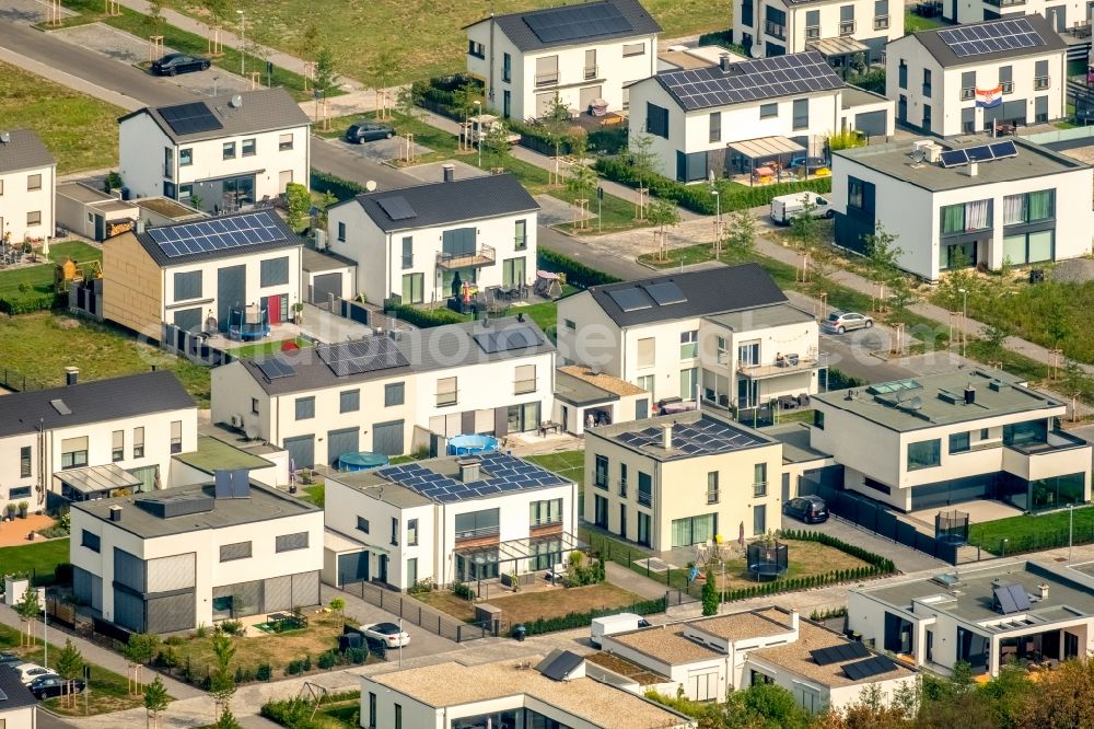 Gelsenkirchen from the bird's eye view: Single-family residential area of settlement along the Johannes-Rau-Allee in Gelsenkirchen in the state North Rhine-Westphalia, Germany