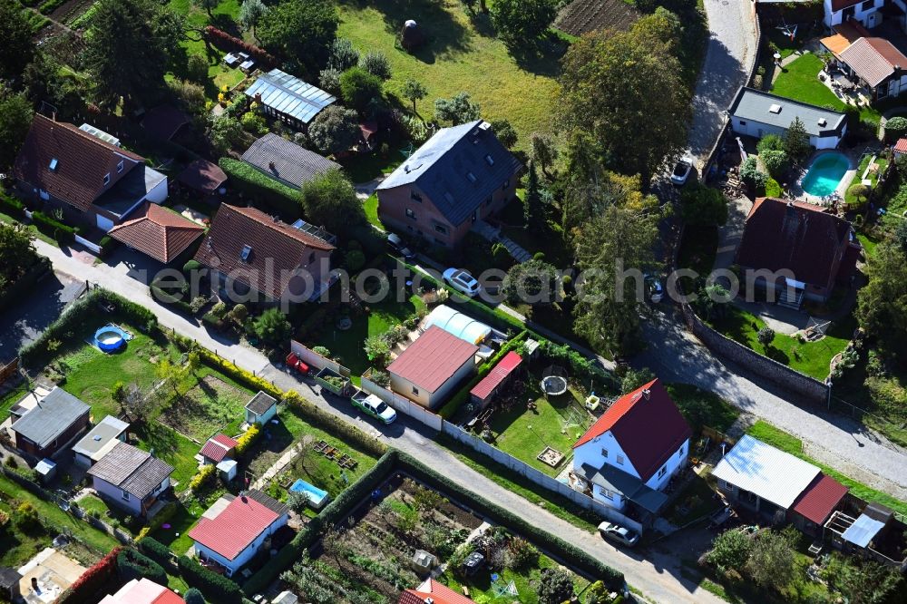 Hohe Börde from the bird's eye view: Single-family residential area of settlement along the Morgenstrasse in the district Irxleben in Hohe Boerde in the state Saxony-Anhalt, Germany