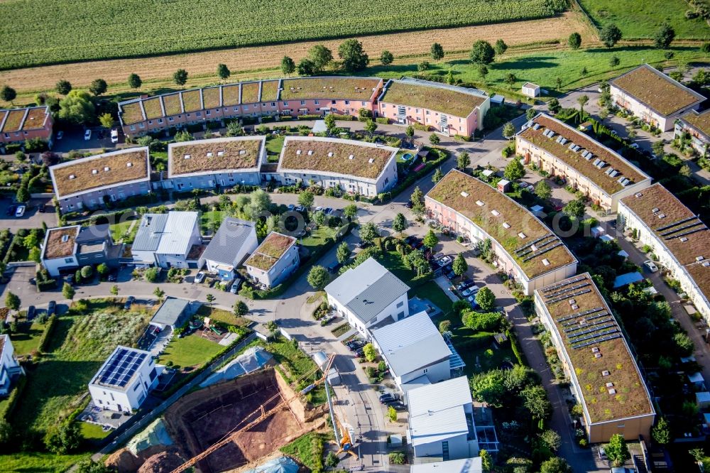 Karlsruhe from the bird's eye view: Single-family residential area of settlement Fuenfzig Morgen in Karlsruhe in the state Baden-Wuerttemberg, Germany