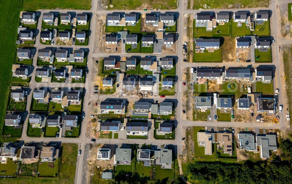 Aerial image Gelsenkirchen - Single-family residential area of settlement in Gelsenkirchen in the state North Rhine-Westphalia