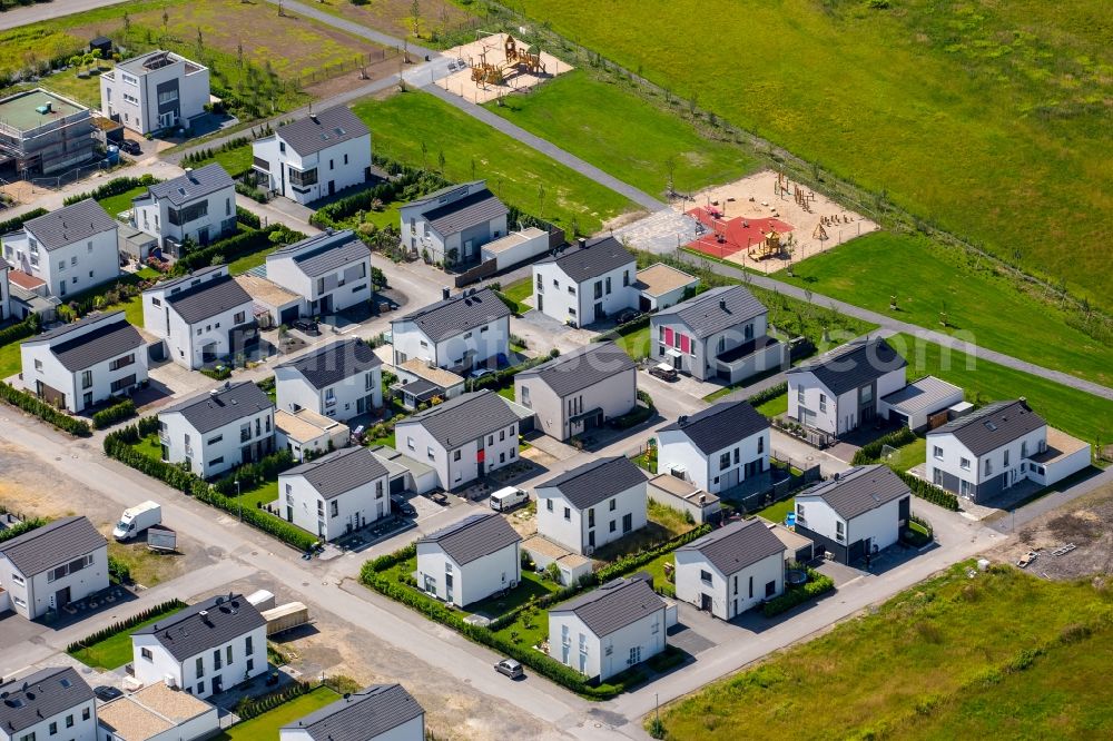 Aerial image Gelsenkirchen - Residential single-family a settlement at the marina on the Rhine-Herne canal on the site of the former Graf Bismarck colliery in Gelsenkirchen-Bismarck in North Rhine-Westphalia