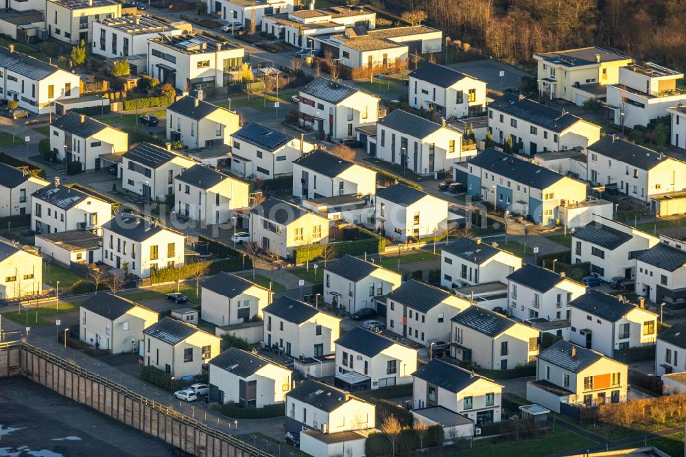 Aerial image Gelsenkirchen - Single-family residential area of settlement Graf Bismarck along the Johannes-Rau-Allee in the district Bismarck in Gelsenkirchen at Ruhrgebiet in the state North Rhine-Westphalia, Germany