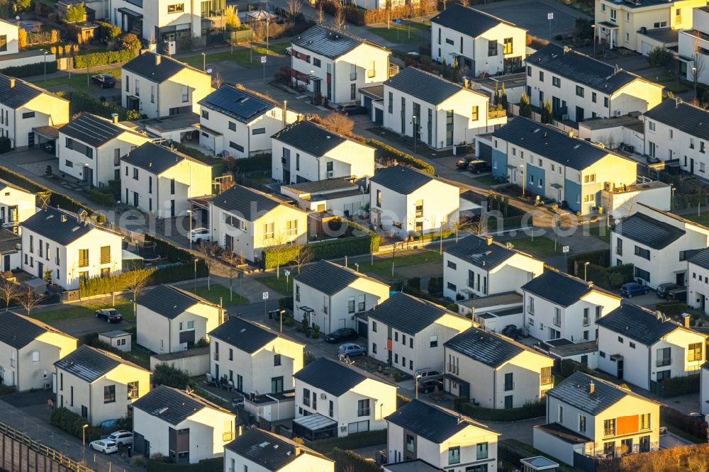 Aerial image Gelsenkirchen - Single-family residential area of settlement Graf Bismarck along the Johannes-Rau-Allee in the district Bismarck in Gelsenkirchen at Ruhrgebiet in the state North Rhine-Westphalia, Germany