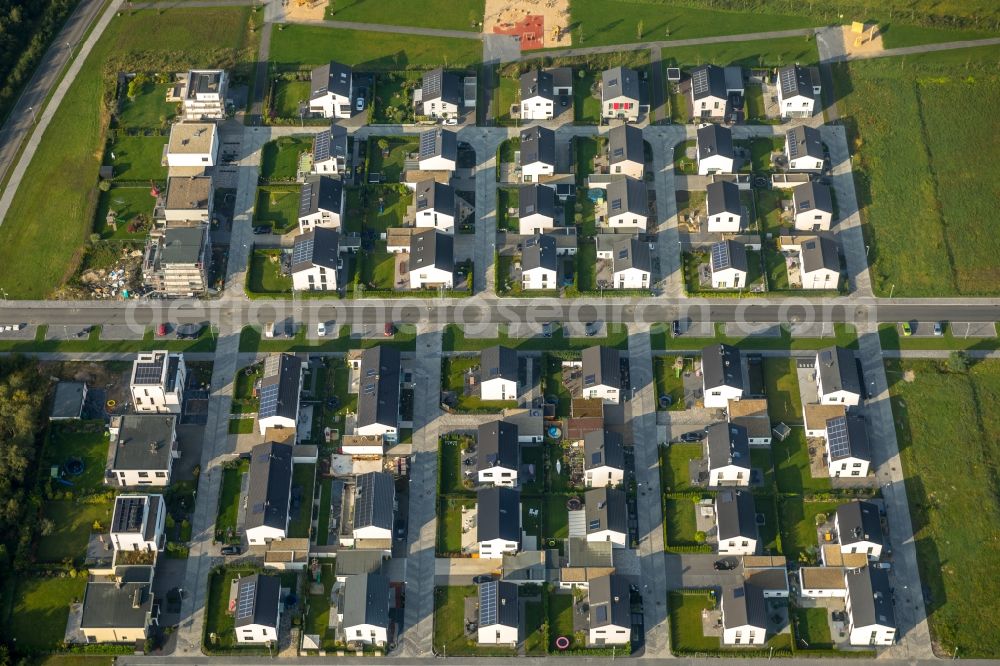 Gelsenkirchen from above - Single-family residential area of settlement Graf Bismarck on Stadler Weg - Karl-Arnold-Weg in Gelsenkirchen in the state North Rhine-Westphalia, Germany