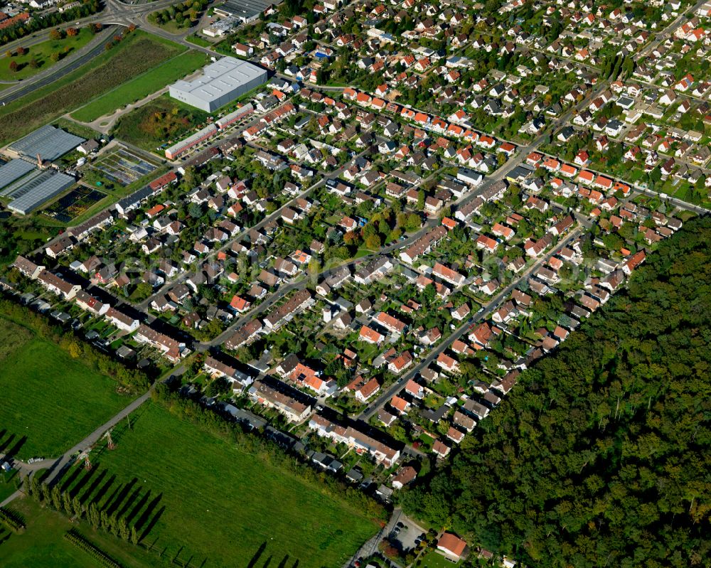 Aerial photograph Grünwinkel - Single-family residential area of settlement in Grünwinkel in the state Baden-Wuerttemberg, Germany