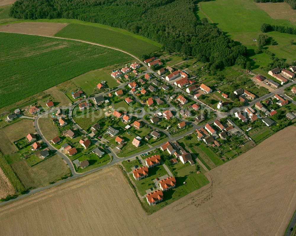 Görzig from above - Single-family residential area of settlement in Görzig in the state Saxony, Germany