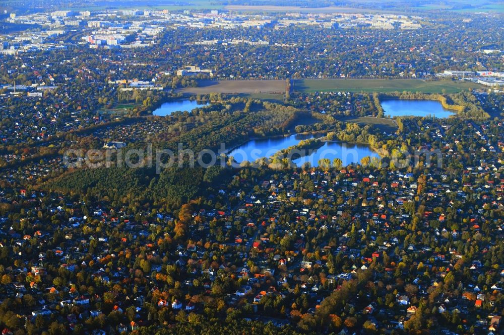 Berlin from above - Single-family residential area of settlement Kaulsdorf in the district Mahlsdorf in Berlin, Germany