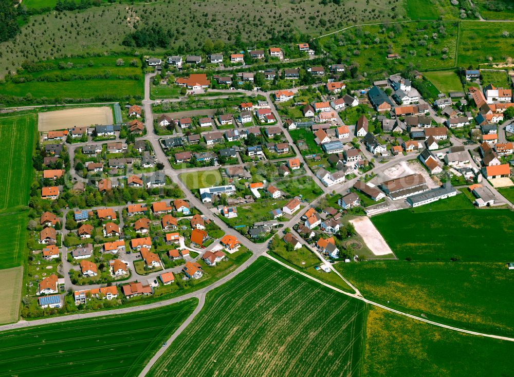 Langenau from the bird's eye view: Single-family residential area of settlement in Langenau in the state Baden-Wuerttemberg, Germany