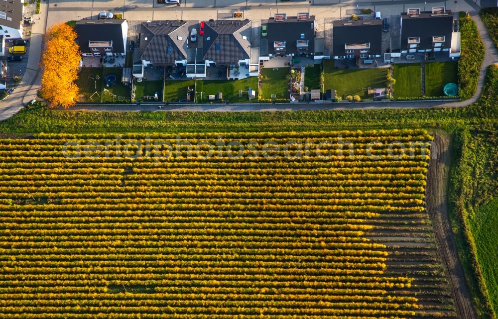 Gladbeck from above - Single-family residential area on the edge of a field in autumnal Gladbeck in the state of North Rhine-Westphalia