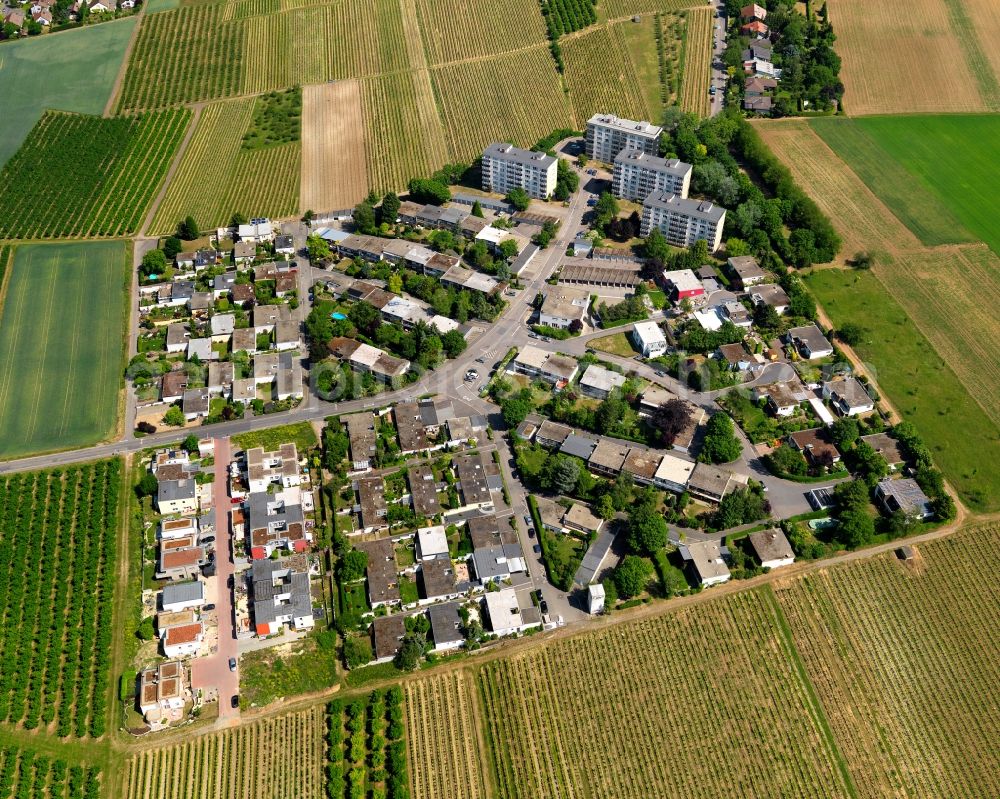 Nieder-Olm from the bird's eye view: Single-family residential area of settlement in Nieder-Olm in the state Rhineland-Palatinate