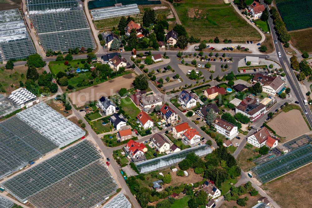 Aerial image Reichenau - Single-family residential area of settlement Oberzeller Strasse - Pirminstrasse in Reichenau in the state Baden-Wurttemberg, Germany