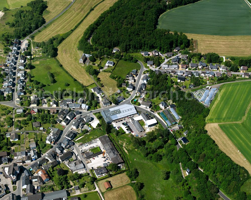 Aerial photograph Rheinböllen - Single-family residential area of settlement in Rheinböllen in the state Rhineland-Palatinate, Germany