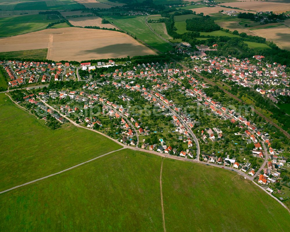 Riesa from the bird's eye view: Single-family residential area of settlement in Riesa in the state Saxony, Germany