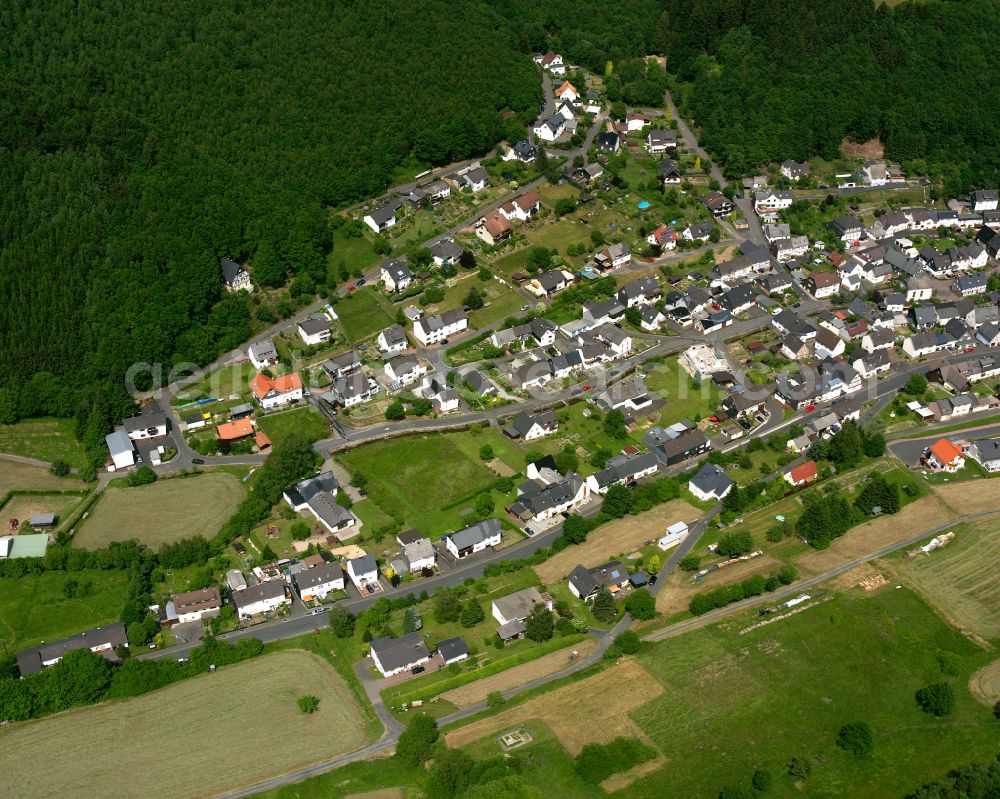 Aerial photograph Rittershausen - Single-family residential area of settlement in Rittershausen in the state Hesse, Germany