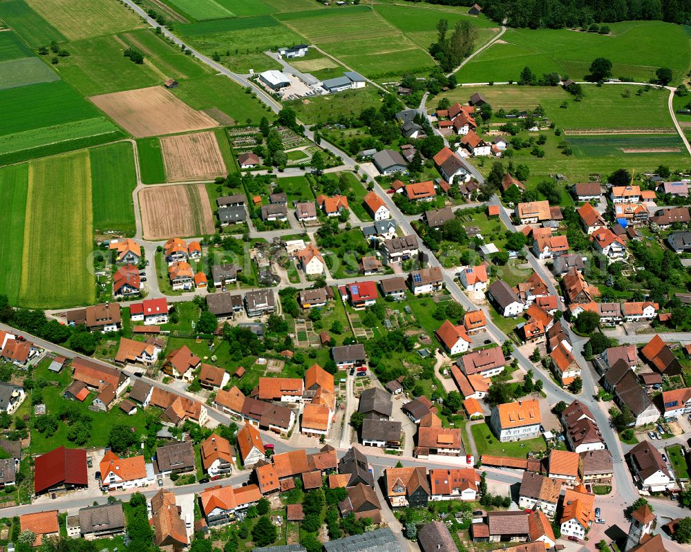 Aerial photograph Rotfelden - Single-family residential area of settlement in Rotfelden in the state Baden-Wuerttemberg, Germany