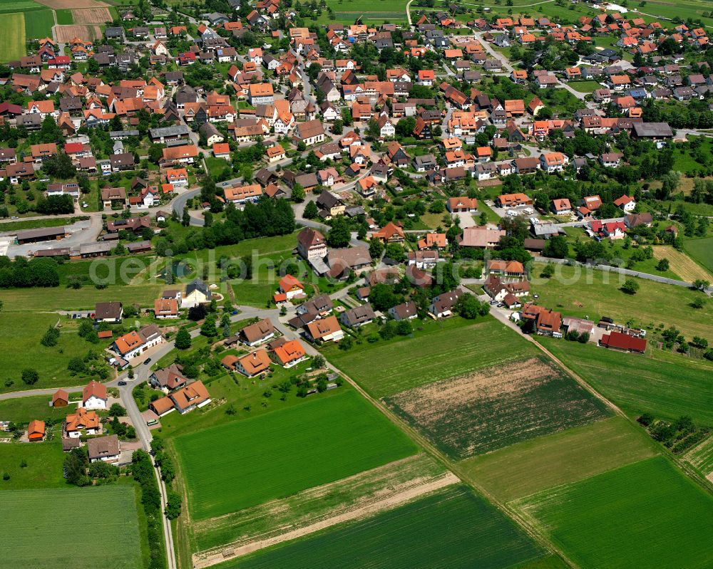 Rotfelden from the bird's eye view: Single-family residential area of settlement in Rotfelden in the state Baden-Wuerttemberg, Germany