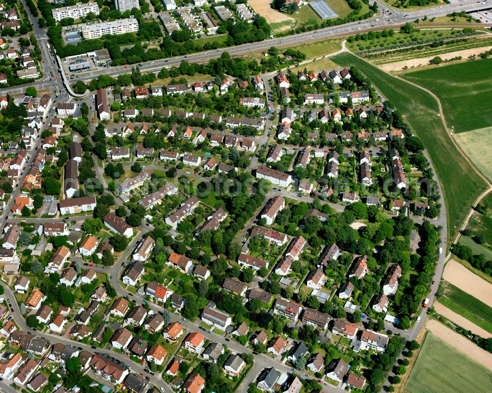 Rüppurr from above - Single-family residential area of settlement in Rüppurr in the state Baden-Wuerttemberg, Germany