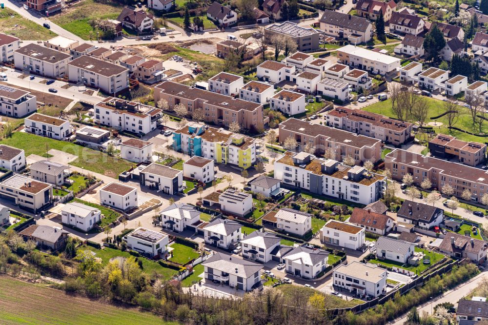 Aerial image Lahr/Schwarzwald - Single-family residential area of settlement Stadtteil Burkheim in Lahr/Schwarzwald in the state Baden-Wurttemberg, Germany