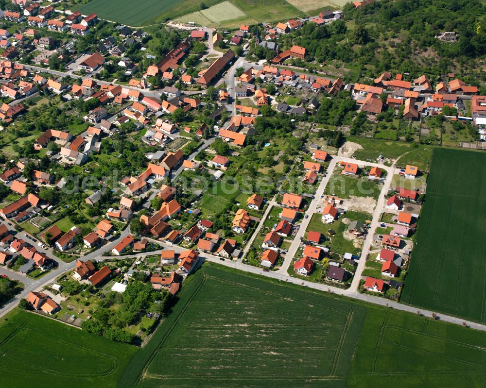 Aerial photograph Stapelburg - Residential area of single-family settlement in Stapelburg in the state Saxony-Anhalt, Germany