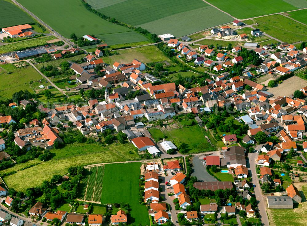 Aerial photograph Stetten - Single-family residential area of settlement in Stetten in the state Rhineland-Palatinate, Germany