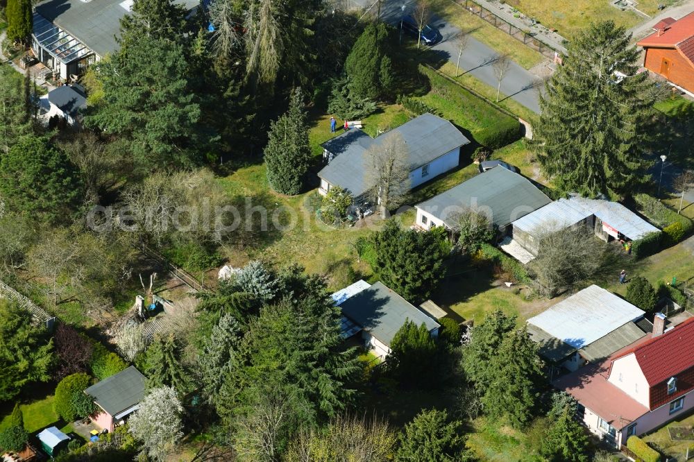 Aerial image Gorinsee - Single-family residential area of settlement Str. zum See - Ahornweg in Gorinsee in the state Brandenburg, Germany