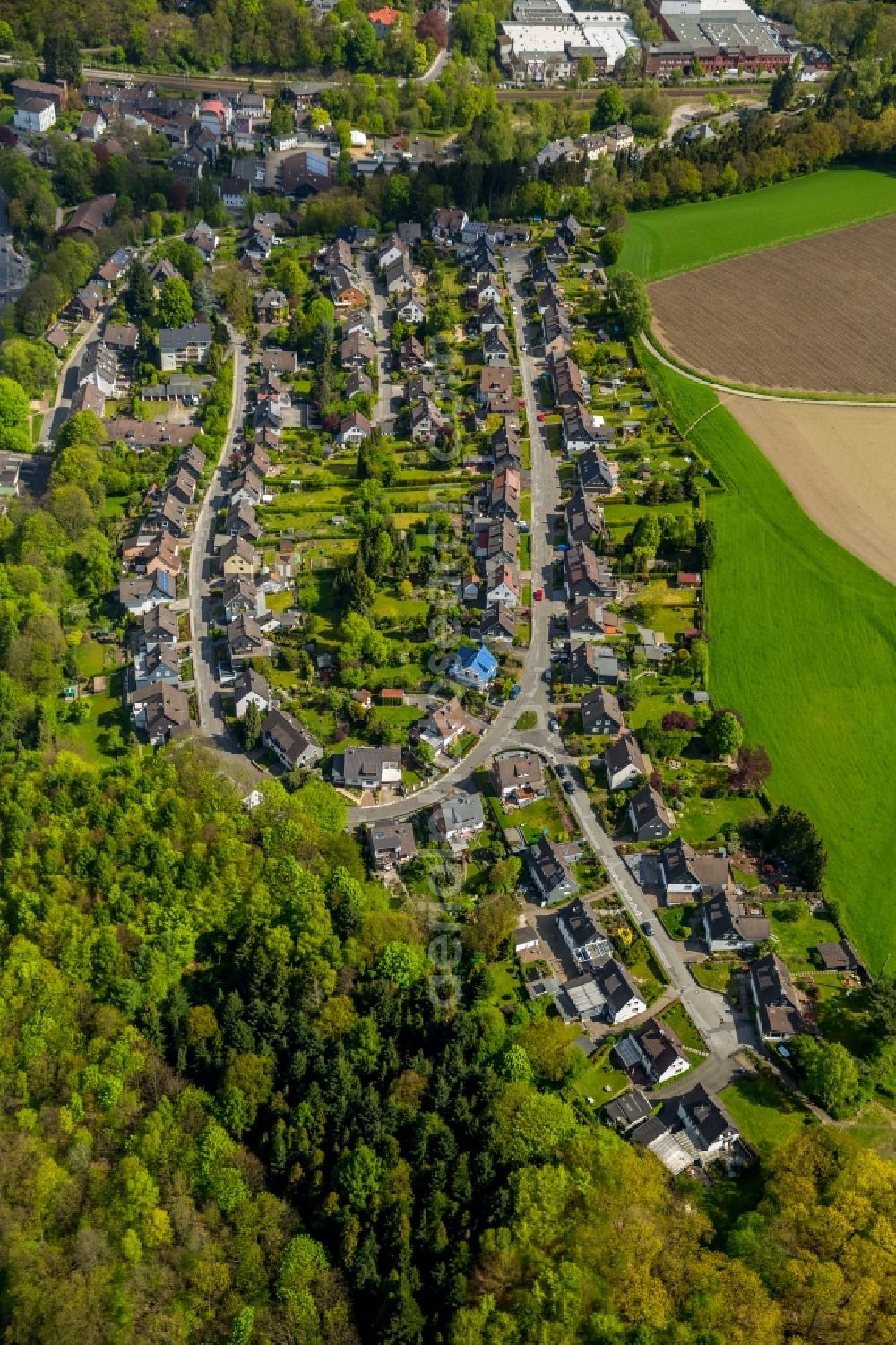 Velbert from the bird's eye view: Single-family residential area of settlement along the Eichenstrasse in Velbert in the state North Rhine-Westphalia, Germany