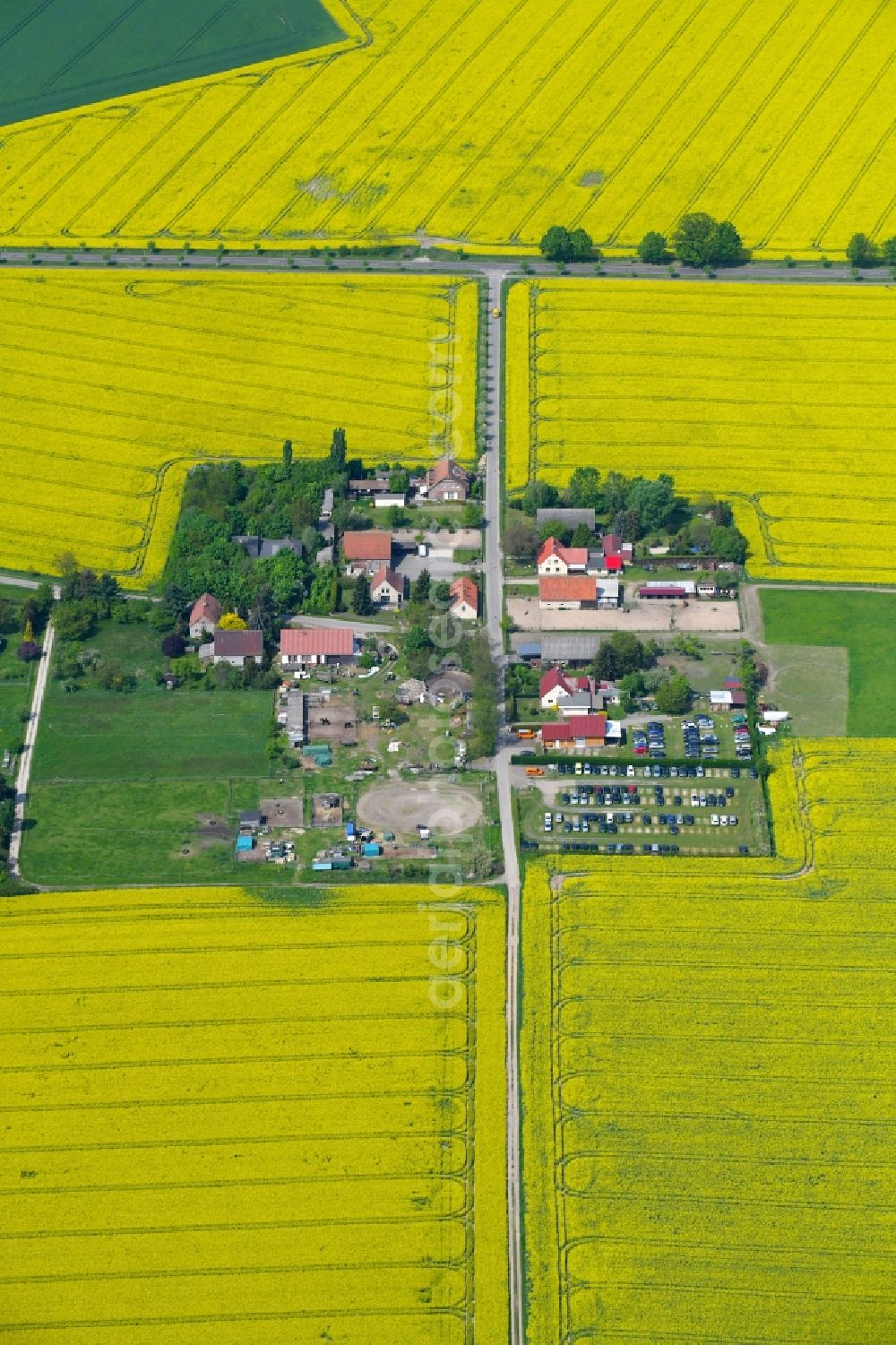 Schulzendorf from the bird's eye view: Single-family residential area of settlement on Vorwerk in Schulzendorf in the state Brandenburg, Germany