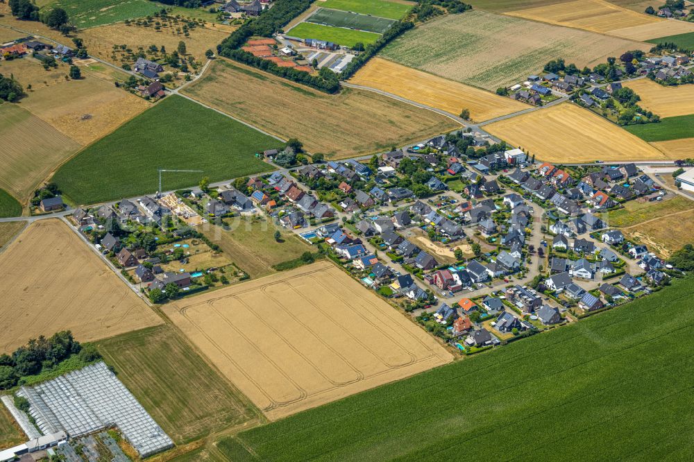 Hamminkeln from above - Single-family residential area of settlement between Diersfordter Strasse and Neuhardenbergstrasse in Hamminkeln in the state North Rhine-Westphalia, Germany