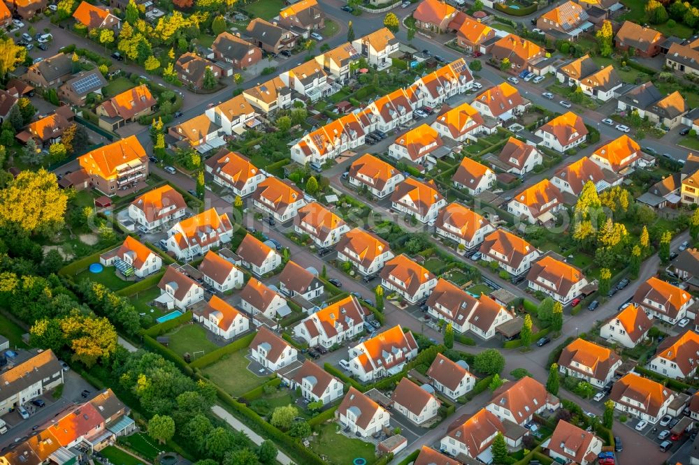 Bergkamen from above - Single-family residential area of settlement between of Schulstrasse and of Pfalzstrasse in the district Weddinghofen in Bergkamen in the state North Rhine-Westphalia, Germany