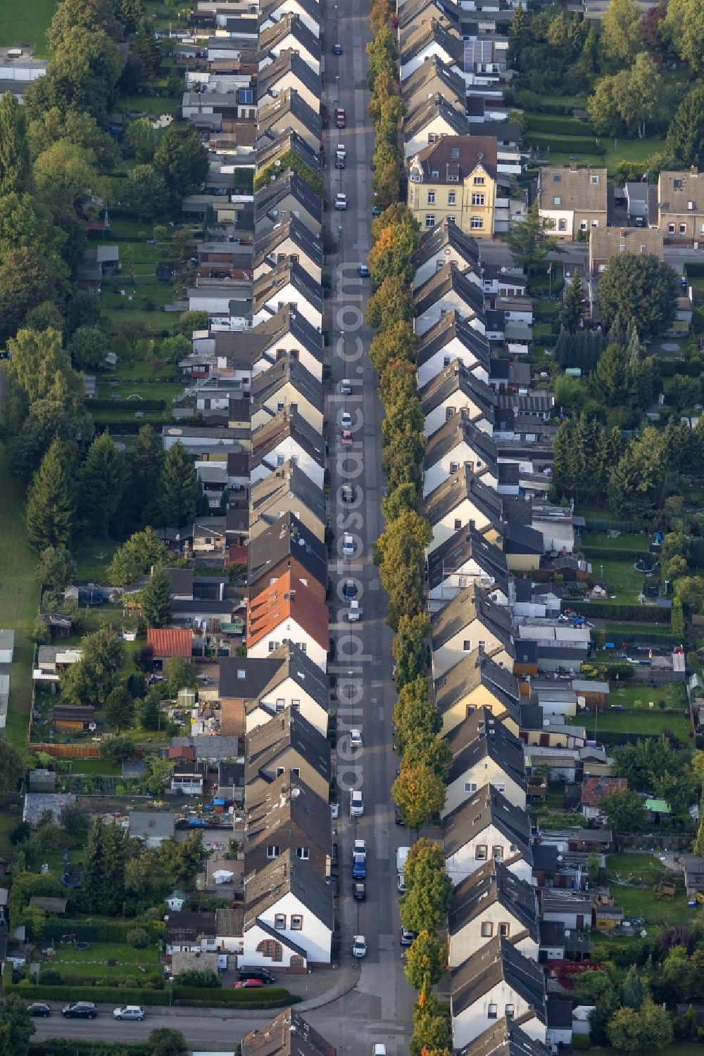 Gladbeck from above - Autumn view of a residential area around Emscherstraße in the district Brauck in Gladbeck in the federal state North Rhine-Westphalia