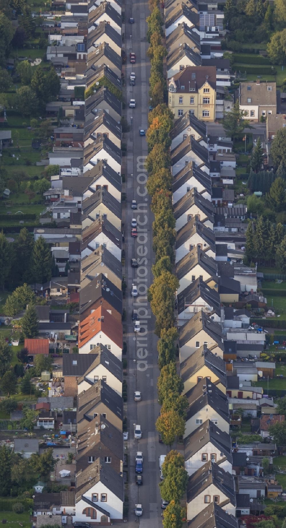 Gladbeck from the bird's eye view: Autumn view of a residential area around Emscherstraße in the district Brauck in Gladbeck in the federal state North Rhine-Westphalia