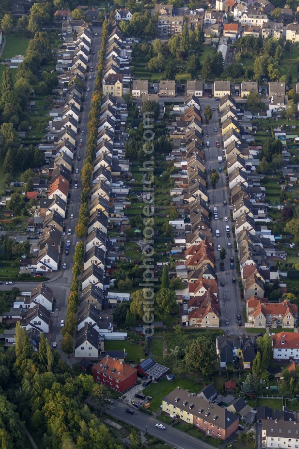 Aerial image Gladbeck - Autumn view of a residential area around Emscherstraße in the district Brauck in Gladbeck in the federal state North Rhine-Westphalia