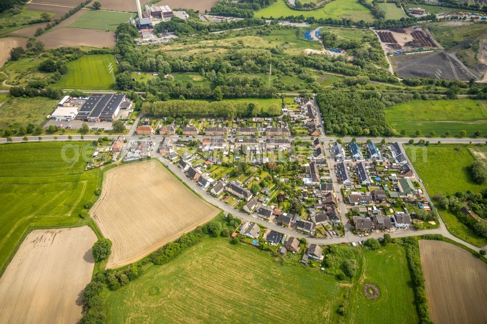 Hamm from the bird's eye view: Residential area along the Wittekindstrasse - Haberkampstrasse in Hamm in the state North Rhine-Westphalia, Germany