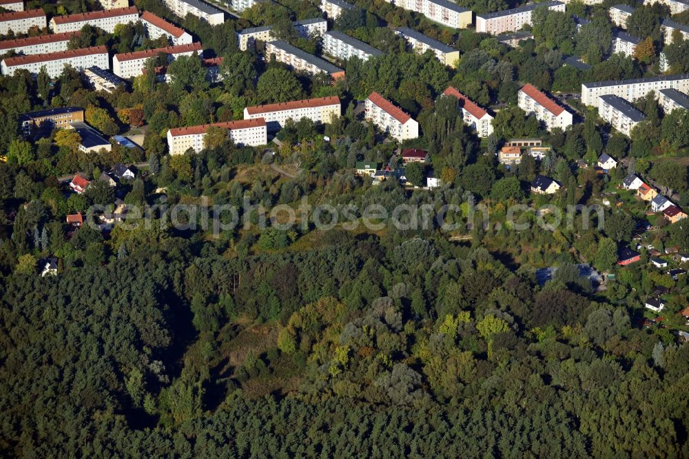 Berlin Köpenick from above - Residential area on Feldblumenweg - Green Drift on the outskirts of the district Köpenick in Berlin. The company cds Wohnbaul Berlin GmbH plans to the forest to build a new housing estate with 70 double rooms and townhouses