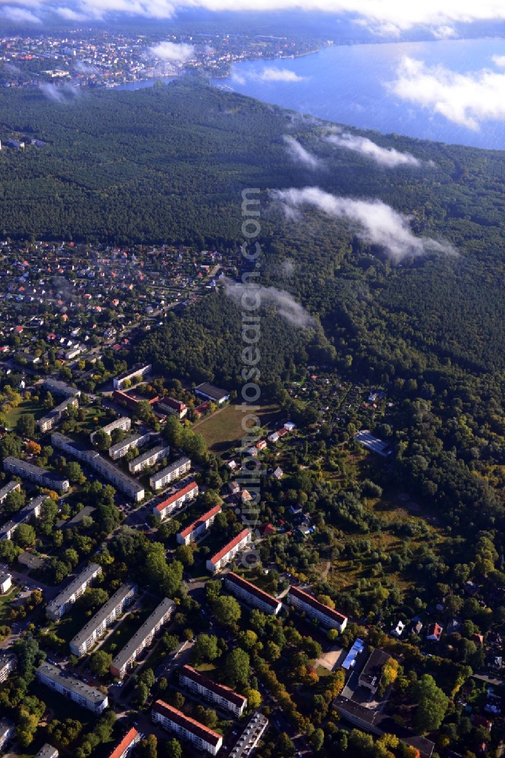 Berlin Köpenick from the bird's eye view: Residential area on Feldblumenweg - Green Drift on the outskirts of the district Köpenick in Berlin. The company cds Wohnbaul Berlin GmbH plans to the forest to build a new housing estate with 70 double rooms and townhouses