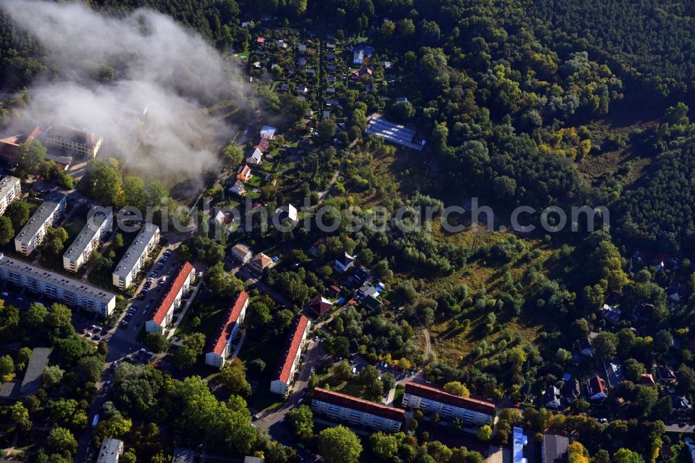 Berlin Köpenick from the bird's eye view: Residential area on Feldblumenweg - Green Drift on the outskirts of the district Köpenick in Berlin. The company cds Wohnbaul Berlin GmbH plans to the forest to build a new housing estate with 70 double rooms and townhouses