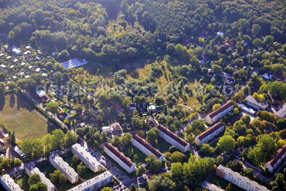 Berlin from the bird's eye view: Residential area on Feldblumenweg - Gruene Trift on the outskirts of the district Köpenick in Berlin. The company cds Wohnbau Berlin GmbH plans to the forest to build a new housing estate with 70 double rooms and townhouses