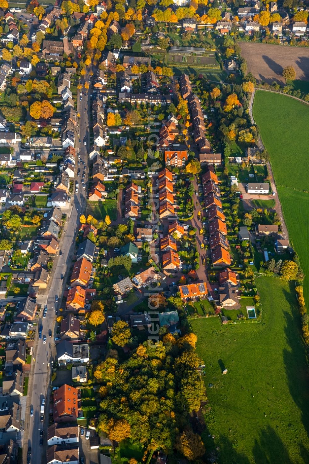 Gladbeck from the bird's eye view: Residential area and autumnal surrounding area along Hegestrasse in the West of Gladbeck in the state of North Rhine-Westphalia