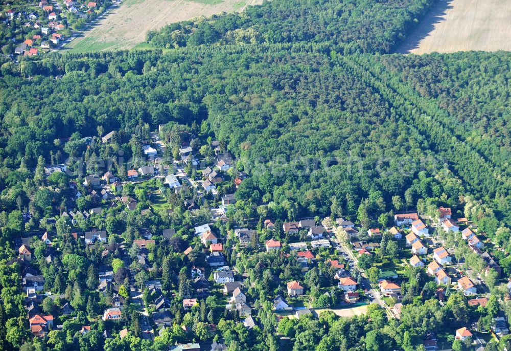 Aerial photograph Berlin Lichtenrade - Wohngebiet an der Krüger Straße, Paetschstraße, Wolziger Straße und Hohenzollernstraße in Berlin Lichtenrade. Housing area in the Lichtenrade district.