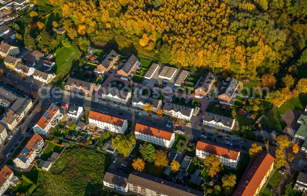 Gladbeck from above - Residential area along Marienstrasse street in Gladbeck in the state of North Rhine-Westphalia. The houses are located adjacent to an autumnal forest