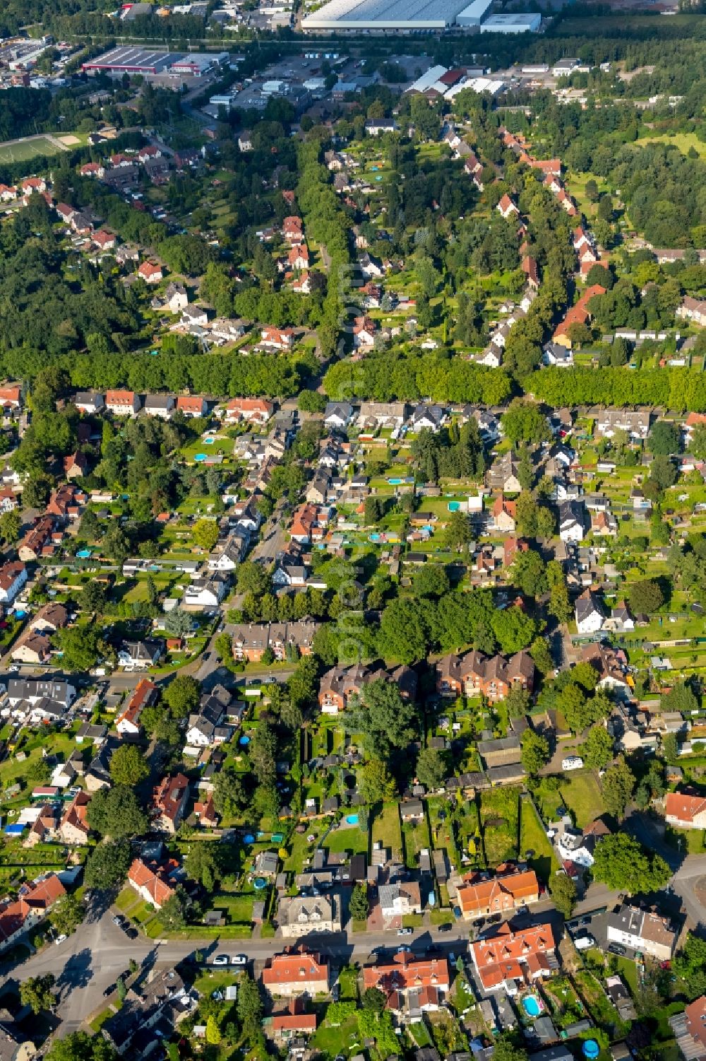 Bottrop from the bird's eye view: Residential area of a multi-family house settlement Rheinbabensiedlung Gladbecker street - Stenkhoffstrasse in Bottrop in the state North Rhine-Westphalia