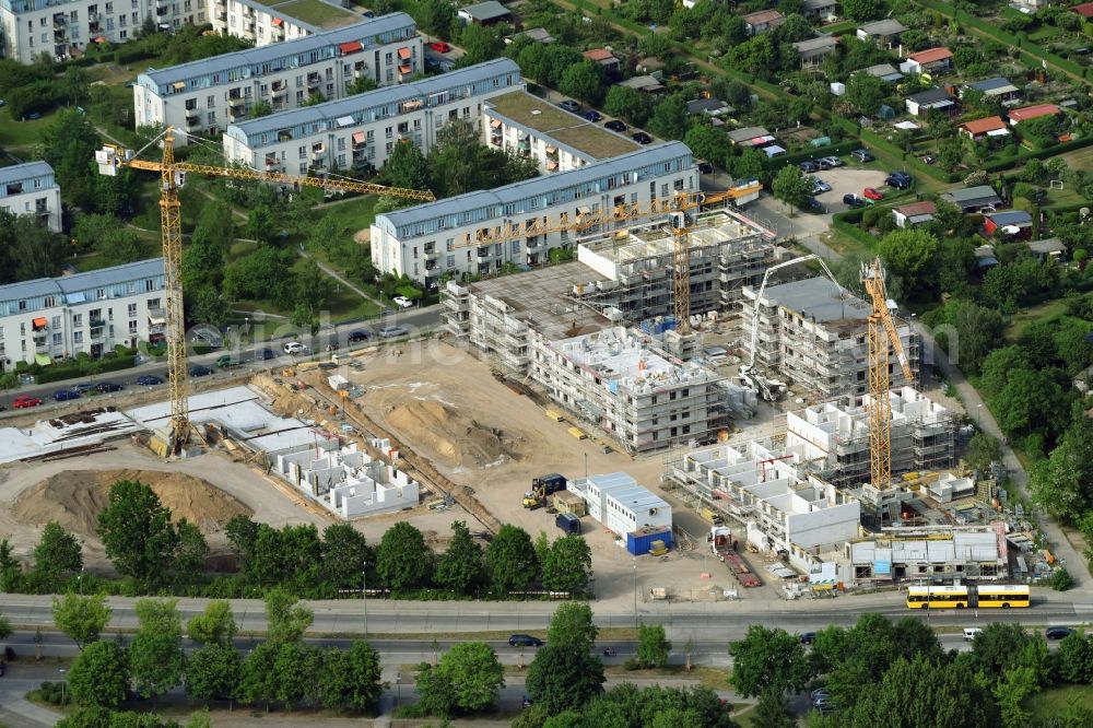 Aerial image Berlin - Residential area of a multi-family house settlement campany degewo AG on Joachim-Ringelnatz-Strasse - Hans-Fallada-Strasse - Cecilienstrasse in the district Biesdorf in Berlin