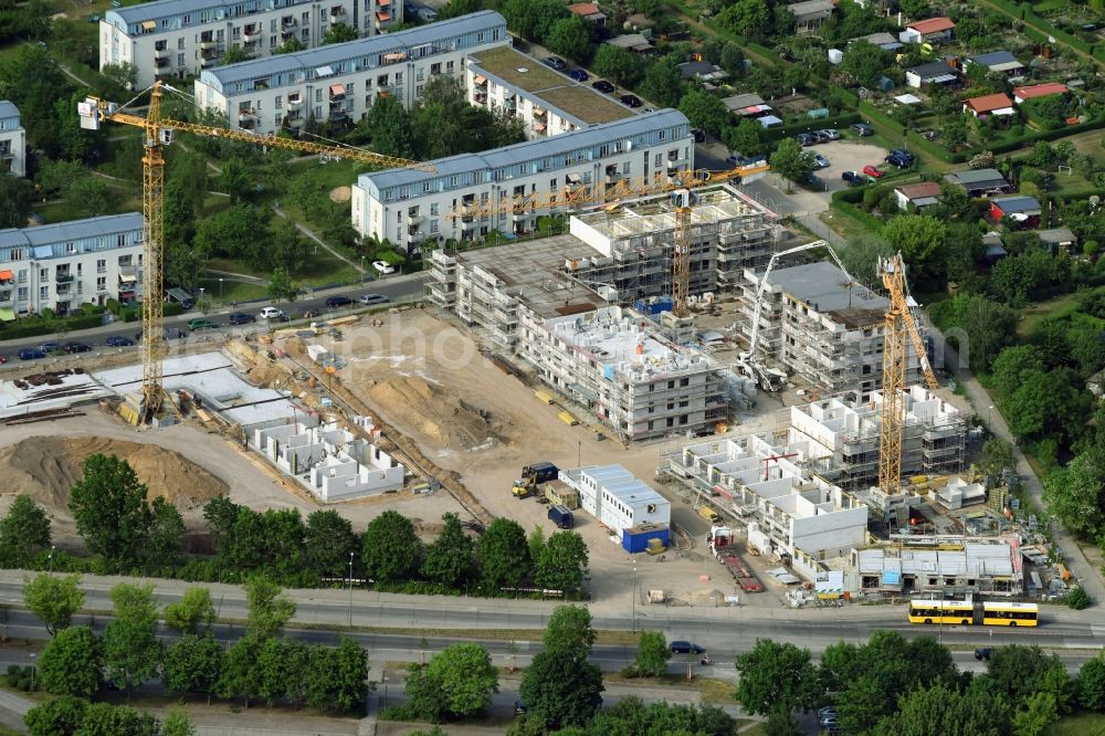 Berlin from above - Residential area of a multi-family house settlement campany degewo AG on Joachim-Ringelnatz-Strasse - Hans-Fallada-Strasse - Cecilienstrasse in the district Biesdorf in Berlin