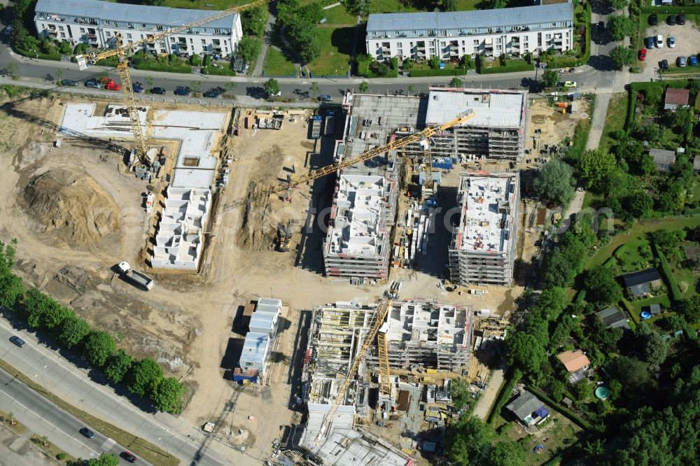 Aerial image Berlin - Residential area of a multi-family house settlement campany degewo AG on Joachim-Ringelnatz-Strasse - Hans-Fallada-Strasse - Cecilienstrasse in the district Biesdorf in Berlin