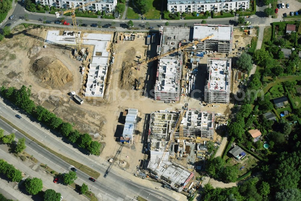 Berlin from above - Residential area of a multi-family house settlement campany degewo AG on Joachim-Ringelnatz-Strasse - Hans-Fallada-Strasse - Cecilienstrasse in the district Biesdorf in Berlin