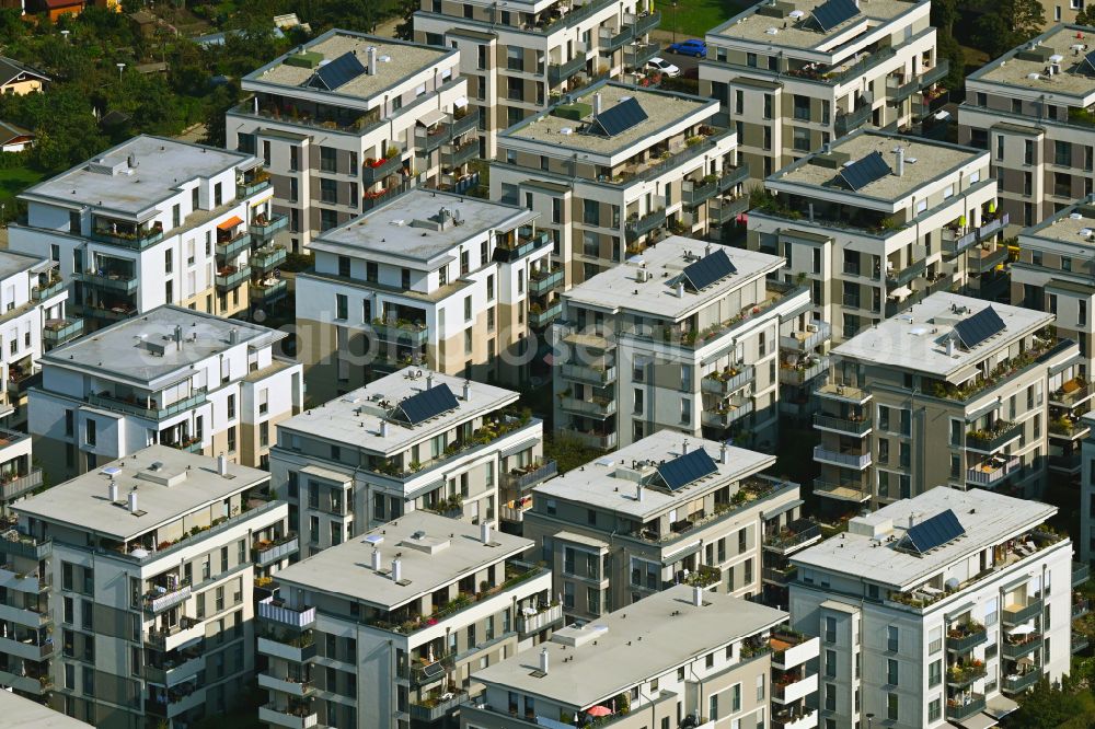 Dresden from the bird's eye view: Residential area of the multi-family house settlement on street Elfriede-Lohse-Waechtler-Strasse in the district Striesen in Dresden in the state Saxony, Germany