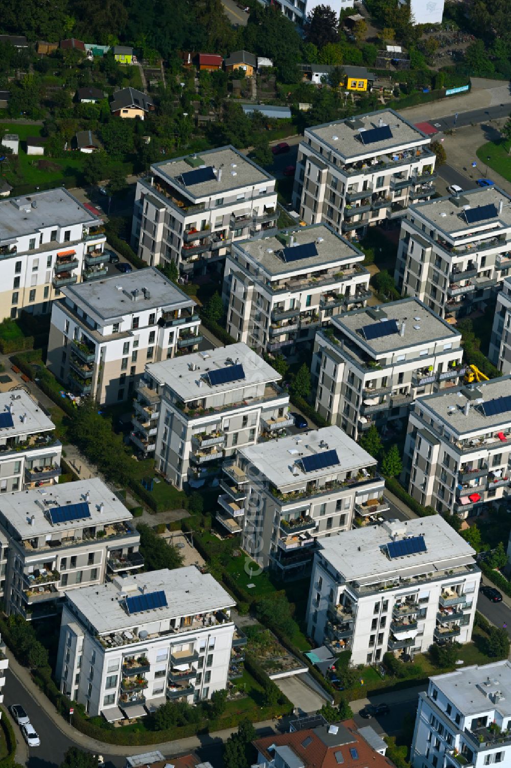 Dresden from the bird's eye view: Residential area of the multi-family house settlement on street Elfriede-Lohse-Waechtler-Strasse in the district Striesen in Dresden in the state Saxony, Germany